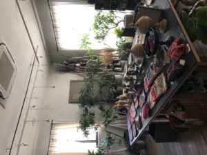 岐阜市花屋　岐阜花屋　花屋　グリーンヴェール  グリーンベール　観葉植物　DOMANI　Bagaille　アンティーク