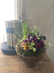 岐阜市花屋　岐阜花屋　花屋　グリーンベール グリーンヴェール greenveil　フラワーレッスン　春　球根　球根アレンジメント　パンジー　ラナンキュラス　ムスカリ