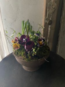 岐阜市花屋　岐阜花屋　花屋　グリーンベール グリーンヴェール greenveil　フラワーレッスン　春　球根　球根アレンジメント　パンジー　ラナンキュラス　ムスカリ